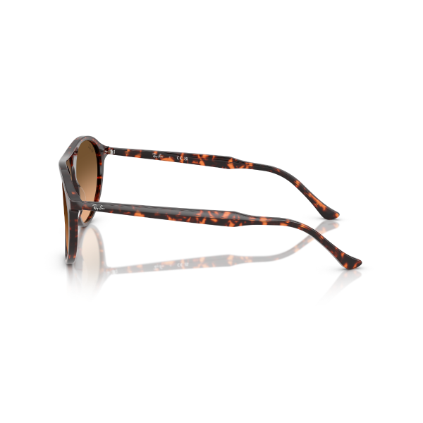 RB 2215 14293B 56 Ray-Ban Güneş Gözlüğü