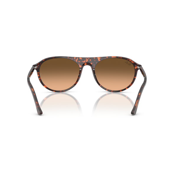 RB 2215 14293B 56 Ray-Ban Güneş Gözlüğü