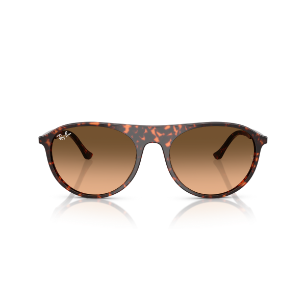 RB 2215 14293B 56 Ray-Ban Güneş Gözlüğü