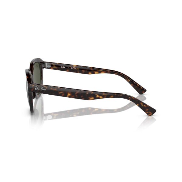 RB 4398 902/31 53 Ray-Ban ERIK Güneş Gözlüğü