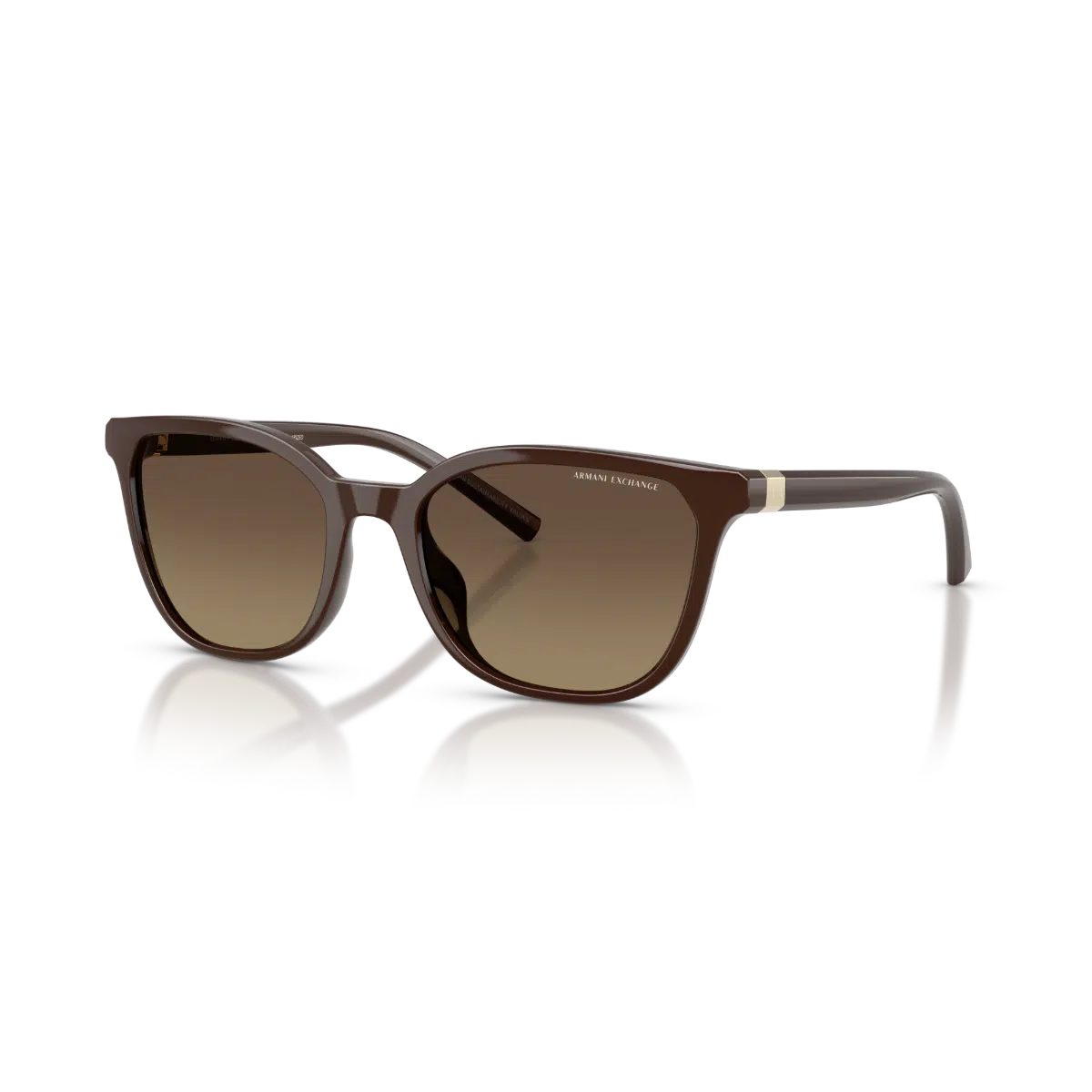 AX 4168SU 8402T5 54 Armani Exchange Polarize Güneş Gözlüğü