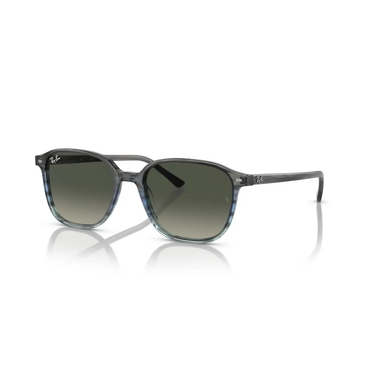 RB 2193 138171 53 Ray-Ban LEONARD Güneş Gözlüğü