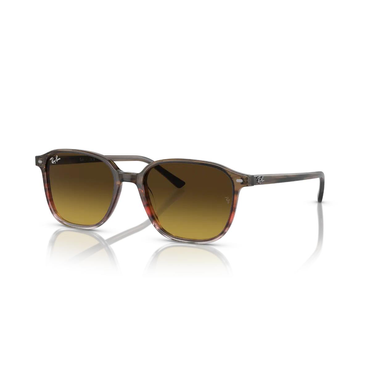 RB 2193 138085 53 Ray-Ban LEONARD Güneş Gözlüğü