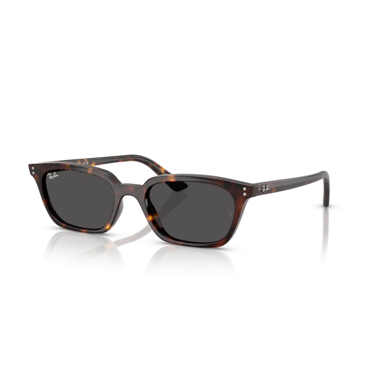 RB 4456 135987 53 Ray-Ban ZAYA Güneş Gözlüğü