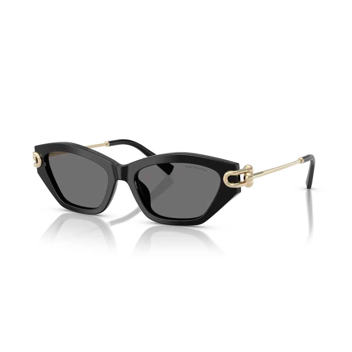 TF 4231U 800181 53 Tiffany & Co. Polarize Güneş Gözlüğü